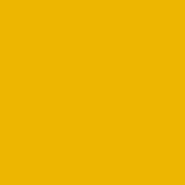 Краска Lanors Mons цвет Rape yellow 1021 Краска Lanors Mons цвет Rape yellow 1021