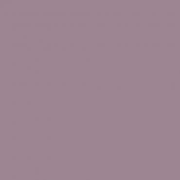 Краска Lanors Mons цвет Pastel violet 4009