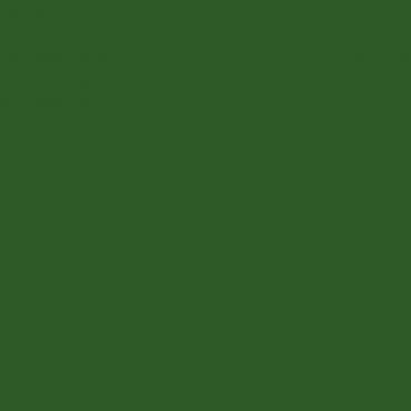 Краска Lanors Mons цвет Leaf green 6002 Краска Lanors Mons цвет Leaf green 6002