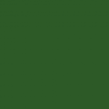 Краска Lanors Mons цвет Leaf green 6002 Краска Lanors Mons цвет Leaf green 6002