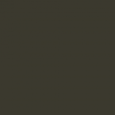 Краска Lanors Mons цвет Grey olive 6006
