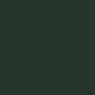 Краска Lanors Mons цвет Fir green 6009 Краска Lanors Mons цвет Fir green 6009