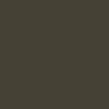 Краска Lanors Mons цвет Yellow olive 6014 Краска Lanors Mons цвет Yellow olive 6014