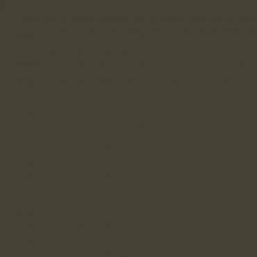 Краска Lanors Mons цвет Yellow olive 6014 Краска Lanors Mons цвет Yellow olive 6014