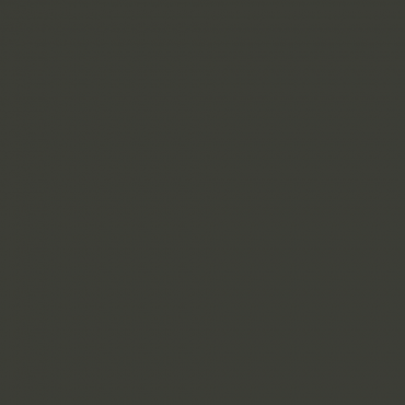 Краска Lanors Mons цвет Black olive 6015 Краска Lanors Mons цвет Black olive 6015