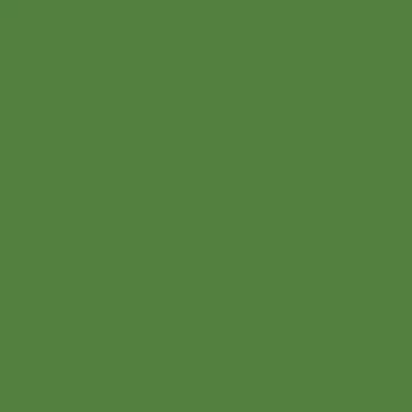 Краска Lanors Mons цвет May green 6017 Краска Lanors Mons цвет May green 6017