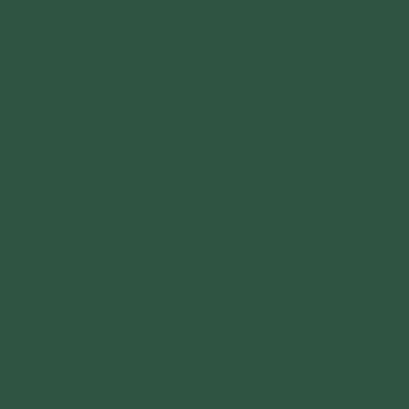 Краска Lanors Mons цвет Pine green 6028