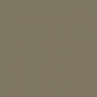 Краска Lanors Mons цвет Olive grey 7002 Краска Lanors Mons цвет Olive grey 7002
