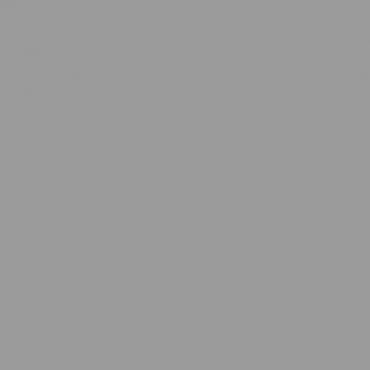 Краска Lanors Mons цвет Signal grey 7004 Краска Lanors Mons цвет Signal grey 7004