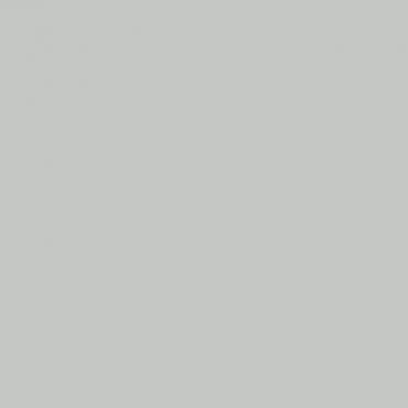 Краска Lanors Mons цвет Light grey 7035 Краска Lanors Mons цвет Light grey 7035