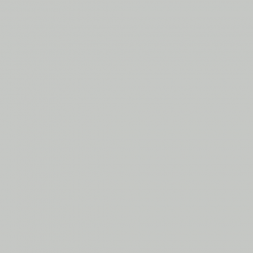 Краска Lanors Mons цвет Light grey 7035 Краска Lanors Mons цвет Light grey 7035