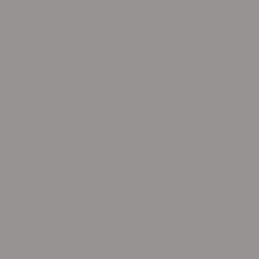 Краска Lanors Mons цвет Platinum grey 7036 Краска Lanors Mons цвет Platinum grey 7036