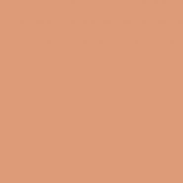 Краска Lanors Mons цвет NCS S 2030-Y50R Краска Lanors Mons цвет NCS S 2030-Y50R