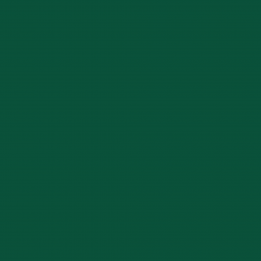 Краска Lanors Mons цвет NCS S 6030-G