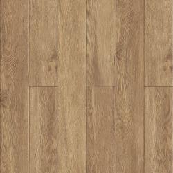 Sequoia ECO