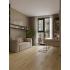 Кварцвиниловый SPC ламинат Alpine Floor Титан 8 Вега ECO 27-2-R 1220×183×8