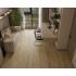 Кварцвиниловый SPC ламинат Alpine Floor Титан 8 Вега ECO 27-2-R 1220×183×8