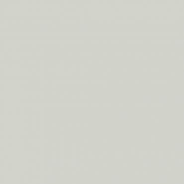 Краска Lanors Mons цвет Холодный серый Cold Gray 2 Краска Lanors Mons цвет Холодный серый Cold Gray 2