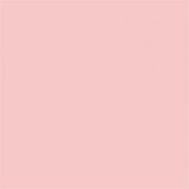Краска Sanderson цвет Chic Pink Water Based Eggshell 1 л Краска Sanderson цвет Chic Pink Water Based Eggshell 1 л