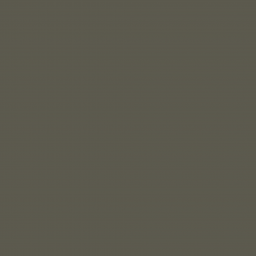 Краска Hygge цвет NCS S 7005-G80Y л