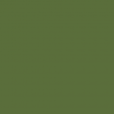 Краска Hygge цвет RAL Fern green 6025 л Краска Hygge цвет RAL Fern green 6025 л
