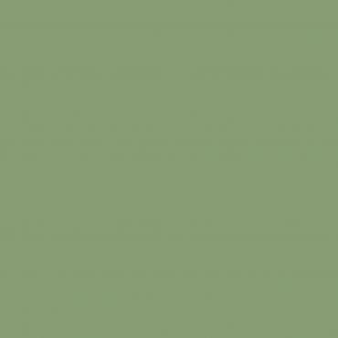 Краска Sanderson цвет Botanical Green л 