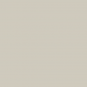 Краска Swiss Lake цвет Ash Grey NC17-0221 л