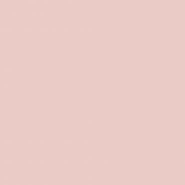 Краска Swiss Lake цвет Ash Of Rose SL-1296 л Краска Swiss Lake цвет Ash Of Rose SL-1296 л
