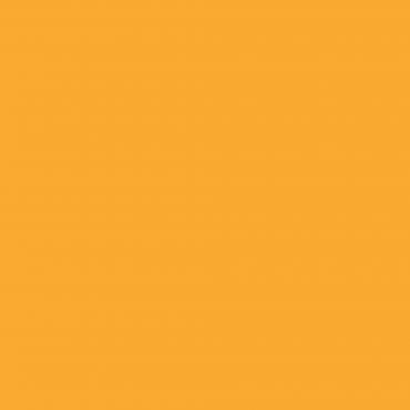 Краска Swiss Lake цвет Bright Marigold SL-1193 л Краска Swiss Lake цвет Bright Marigold SL-1193 л