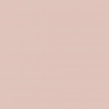 Краска Swiss Lake цвет Camellia Rose SL-1576 л Краска Swiss Lake цвет Camellia Rose SL-1576 л