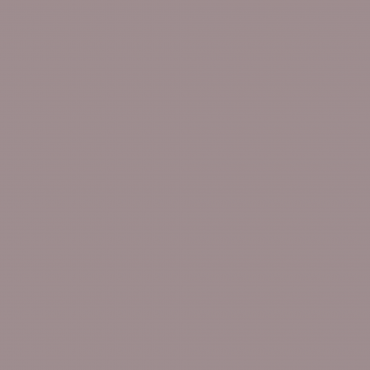 Краска Swiss Lake цвет Canyon Stone SL-1753 л