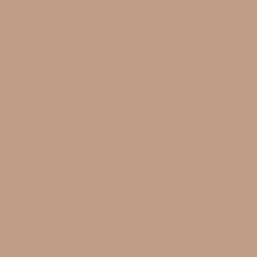 Краска Swiss Lake цвет Caramel Latte NC23-0392 л