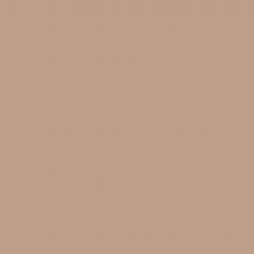 Краска Swiss Lake цвет Caramel Latte NC23-0392 л