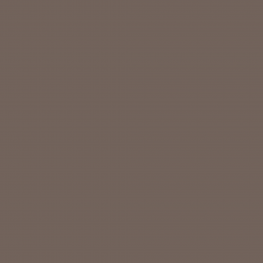 Краска Swiss Lake цвет Caramel Mocha SL-0656 л
