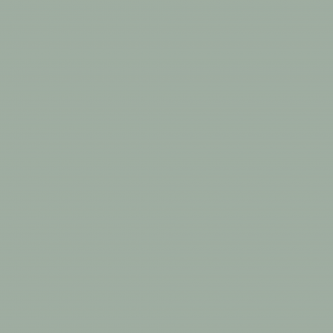 Краска Swiss Lake цвет Celery Green SL-2636 л Краска Swiss Lake цвет Celery Green SL-2636 л