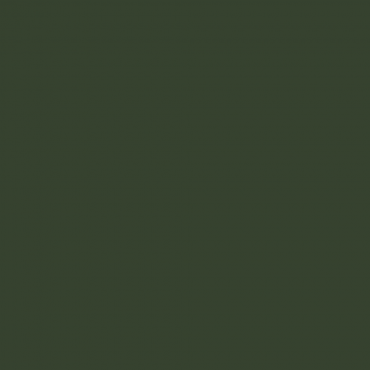 Краска Swiss Lake цвет Chrome green 6020 л Краска Swiss Lake цвет Chrome green 6020 л