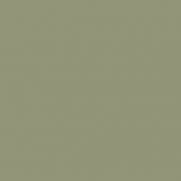 Краска Swiss Lake цвет Chrysolite NC36-0783 л