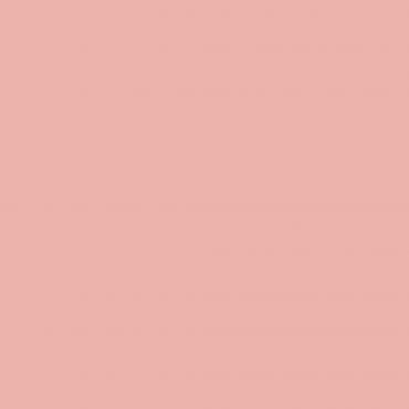 Краска Swiss Lake цвет Coral Blush SL-1461 л Краска Swiss Lake цвет Coral Blush SL-1461 л