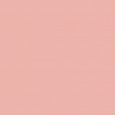 Краска Swiss Lake цвет Coral Blush SL-1461 л Краска Swiss Lake цвет Coral Blush SL-1461 л