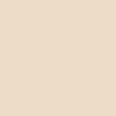 Краска Swiss Lake цвет Delicate Nude SL-0284 л Краска Swiss Lake цвет Delicate Nude SL-0284 л