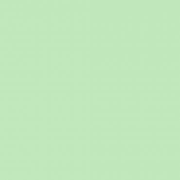 Краска Swiss Lake цвет Early Spring Green SL-2480 л Краска Swiss Lake цвет Early Spring Green SL-2480 л