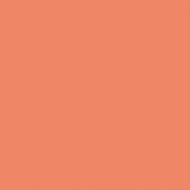 Краска Swiss Lake цвет Electric Orange SL-1492 л Краска Swiss Lake цвет Electric Orange SL-1492 л