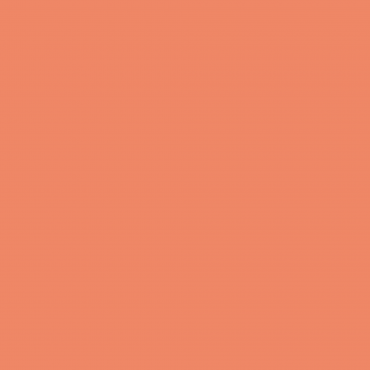 Краска Swiss Lake цвет Electric Orange SL-1492 л Краска Swiss Lake цвет Electric Orange SL-1492 л