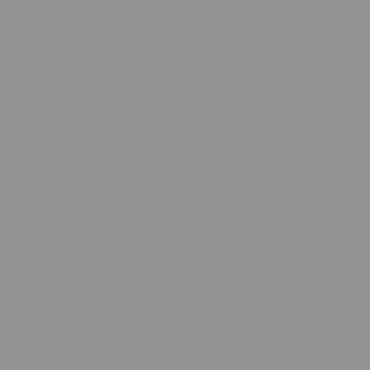 Краска Swiss Lake цвет Escape Gray SL-2837 л Краска Swiss Lake цвет Escape Gray SL-2837 л