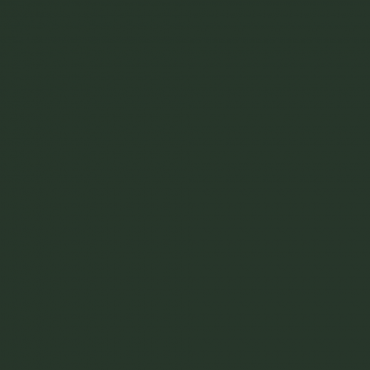 Краска Swiss Lake цвет Fir green 6009 л Краска Swiss Lake цвет Fir green 6009 л