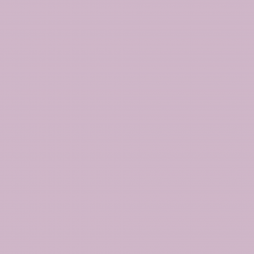 Краска Swiss Lake цвет Flayful Pink SL-1716 л Краска Swiss Lake цвет Flayful Pink SL-1716 л