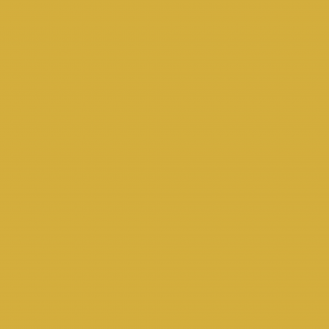 Краска Swiss Lake цвет Ginger SL-1049 л