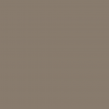 Краска Swiss Lake цвет Gloomy Brown SL-0646 л