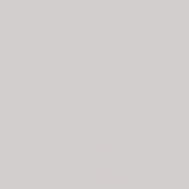 Краска Swiss Lake цвет Gray Goose SL-3005 л