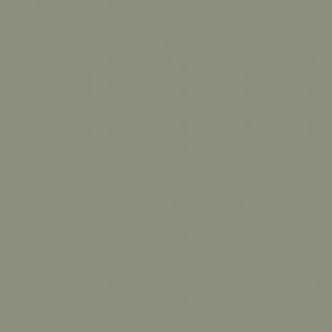Краска Swiss Lake цвет Green Ash SL-2629 л Краска Swiss Lake цвет Green Ash SL-2629 л